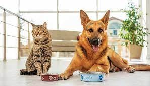 Booming Pet Food Market, Trends, Impacts, and Future Outlook