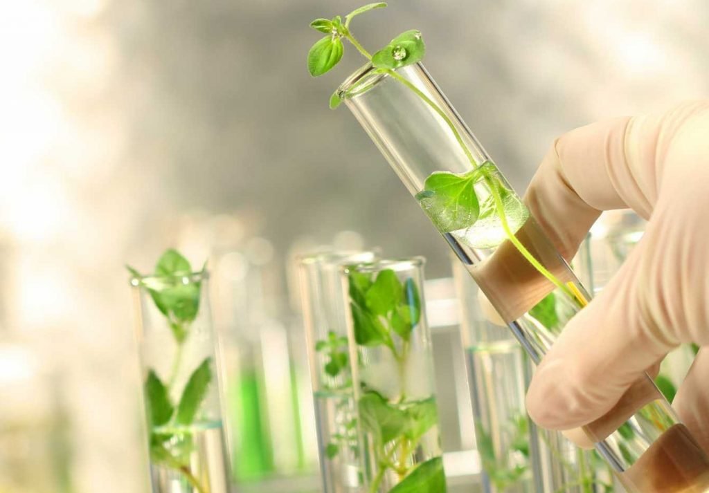 The Future of Green Chemicals, Sustainable Solutions for a Greener Tomorrow